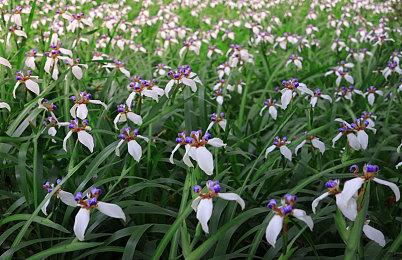 《地平线：西之绝境》DLC“炙炎海岸”容量大小：16.7GB